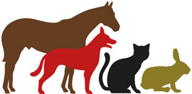 Animed Veterinary Group logo