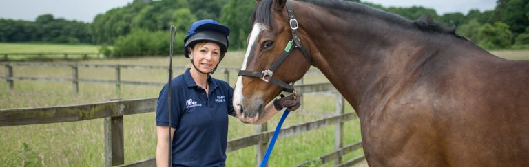 Register your horse with us Animed Veterinary Group