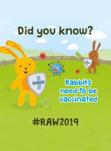 Rabbit awareness week 2019